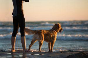 A dog and a man taking a walk on the beach.