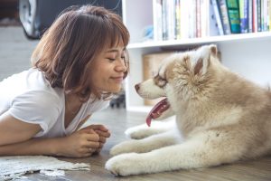 A woman smiling at a dog. If you want to prepare your pet for a move, you have to be considerate to their feelings. 